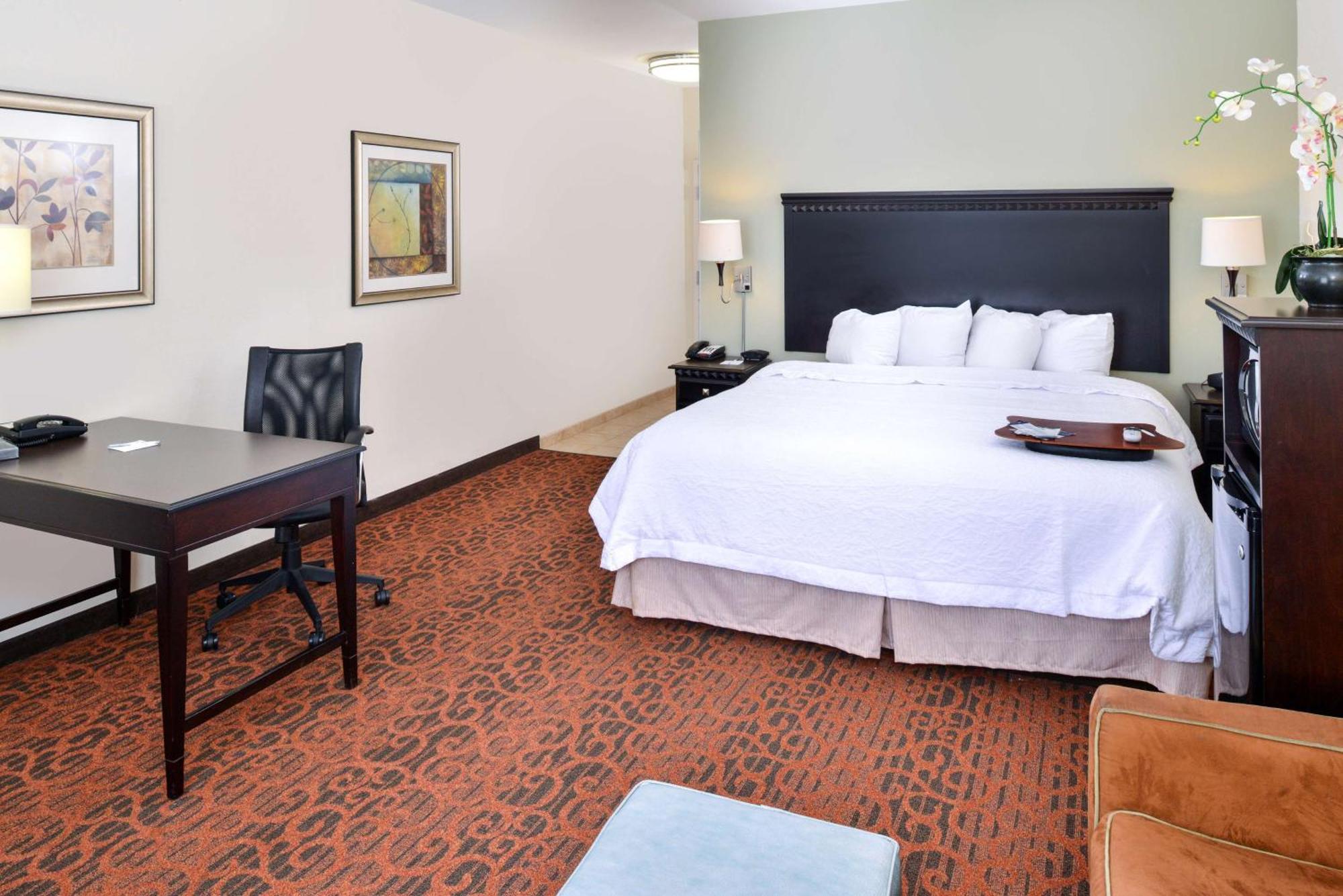 Hampton Inn פקוס מראה חיצוני תמונה